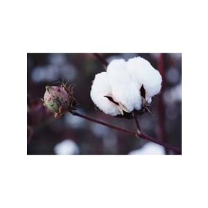 Babaanne Yorganı, El Yapımı Çift Kişilik Pamuklu Yorgan (195x215)-KABAK ÇİÇEĞİ LACİVERT