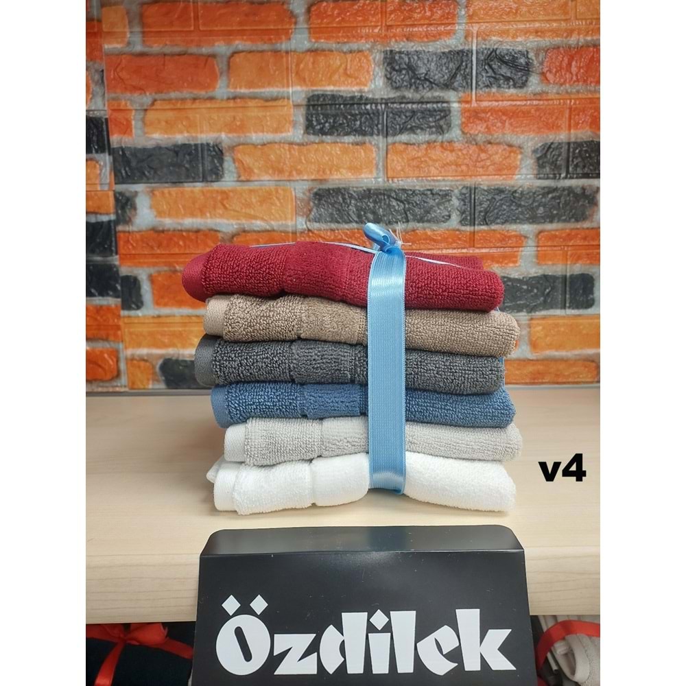 Özdilek Svv Border -6 LI- Kalın & Yumuşak Mutfak Havlusu (33x33) - v4
