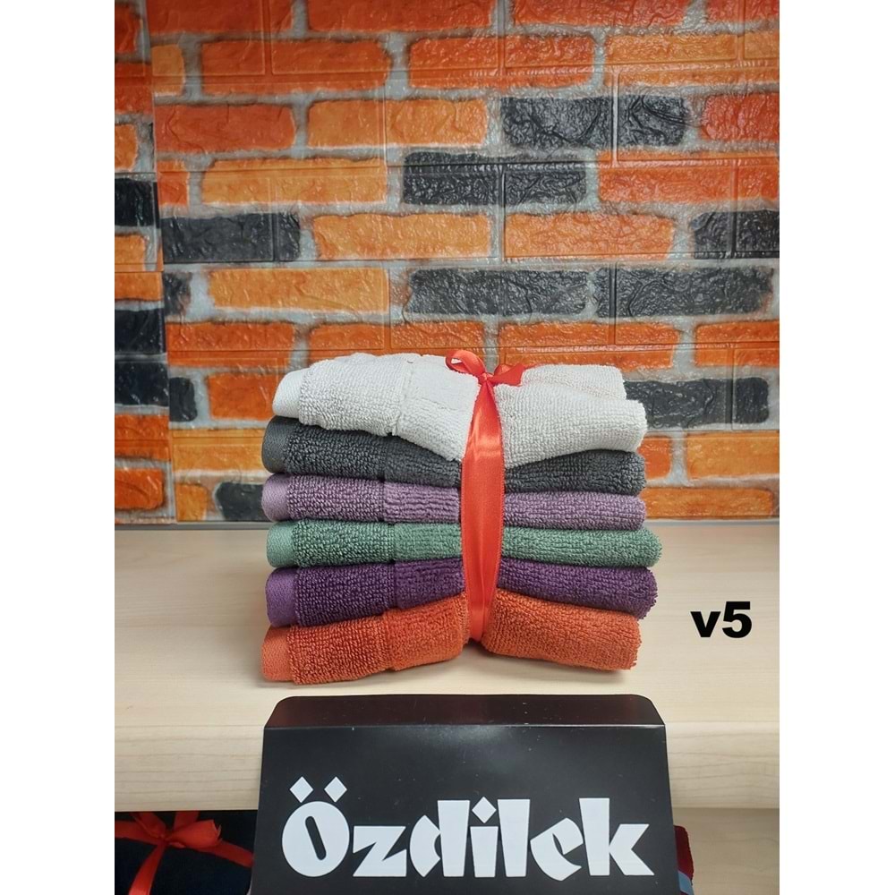 Özdilek Svv Border -6 LI- Kalın & Yumuşak Mutfak Havlusu (33x33) - v5