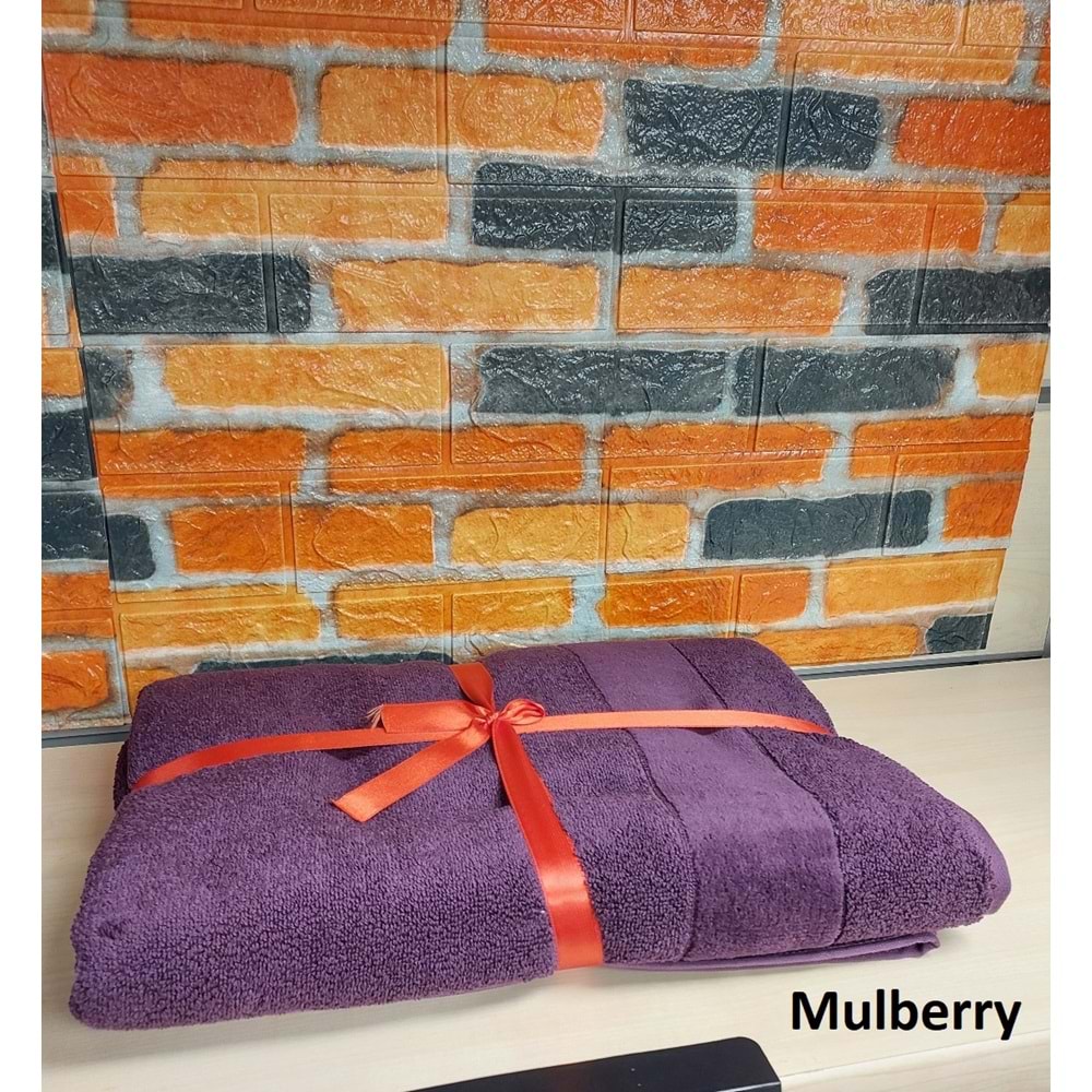 Özdilek Svv Border Büyük Boy Banyo Havlusu (89x173) 1.Katalog