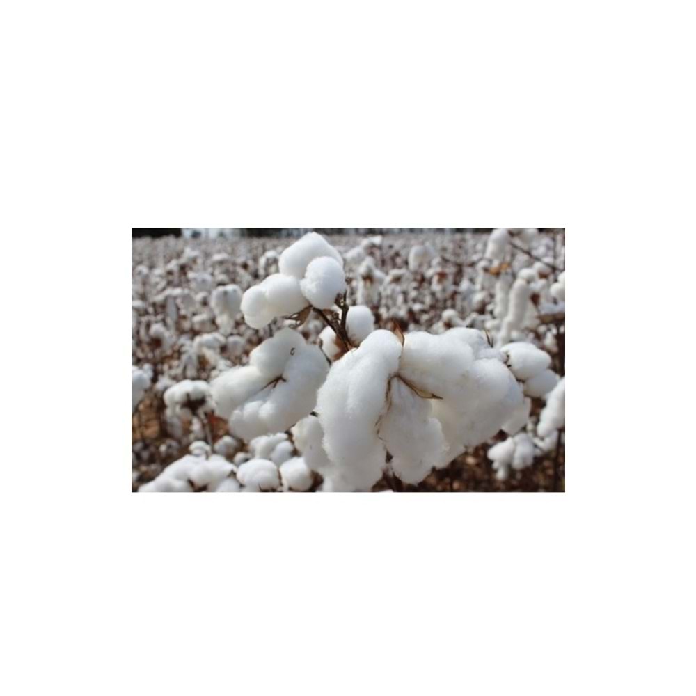 Pamuklu Bebek Yastık (35x45)