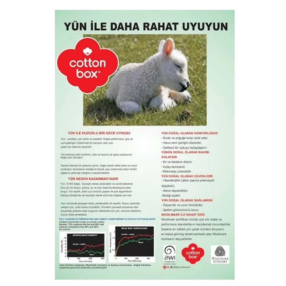 Cotton Box %100 Yün Yastık (50x70)